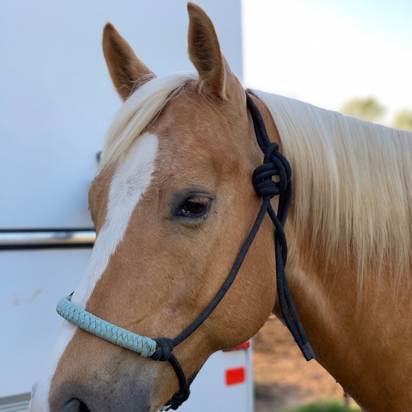 Meet your Posher, Jennifer - Picture 2 of 5